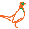 Ringneck Haven