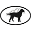 RJ Paddywacks Pet Outfitter