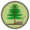 Rock Creek Mulch & Nursery