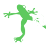 Rockin' Jump