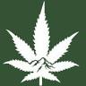 Rocky Mountain Cannabis - Dinosaur Dispensary