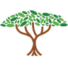 Roots Pediatrics Clinic