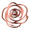 Rose Hair & Aesthetics