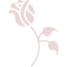 Rose Joy