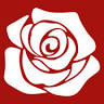 Rose Of India