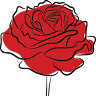 Roses Atelier Kwiaciarnia - Wieczne Róże i Flower Boxy