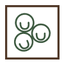 Roswell Family Dentistry