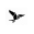 Tern Rowery