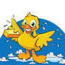 Rubber Duck Car Wash