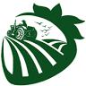 Runcton Farm Shop