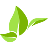 Rural Insurance Services