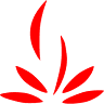 FLORICULTURA RUTE FLORES