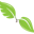 Ruth's Nutrition