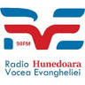 Radio Voice of the Gospel