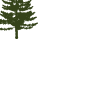 Toledo Bend Family Medicine