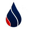 CEPSA