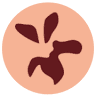 莎芙勒花藝 Sa Fleur