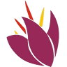 Safran Baharat