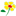 Safranor Safran du Gâtinais