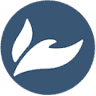 Saginaw Wesleyan Church