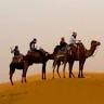 Sahara Day Tours