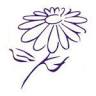 Saint Michael's Hospice Charity Shop