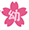 Trường mầm non Sakura Montessori Hạ Long - Quảng Ninh