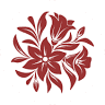 Salehuddin Saidin & Associates