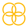 Salm Partners