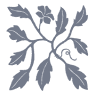 Salt Harbor Designs