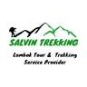 Salvin Trekking Mount Rinjani