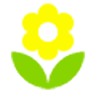 Flowers By Jack