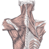 Sandpoint Medical Massage & Bodyworks, LLC