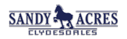 Sandy Acres Clydesdales