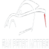 SAN PEDRO MOTORS LLC