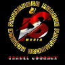 JASA DRIVER ONLINE