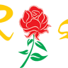 Sapa Rose