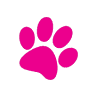 M.A.I.R. - pet shop Paws