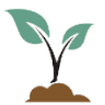 The Sapling School