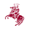 Saracen Horse Feeds