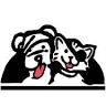 Savannah Veterinary Emergency Clinic