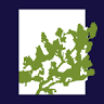 Saxonburg Dental Care