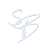 SB srl - GENERAL CONTRACTOR.