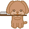 Seishin Central Family Dental Clinic
