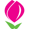 Scabiosa Floral Design LLC.