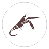 Scampi