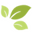 Scent Fill