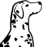 Schuff Veterinary Hospital LLC