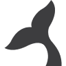 Schwarzer Walfisch