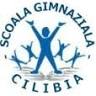 Școala gimnazială Comuna Cilibia